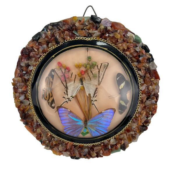 Vintage Real 4 Butterfly Taxidermy Round Convex Glass Stone Frame Brazil - Picture 1 of 5